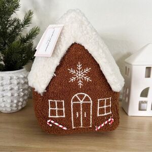 Cupcakes and Cashmere Peppermint Gingerbread
Teddy Sherpa Pillow TIKTOK NWT